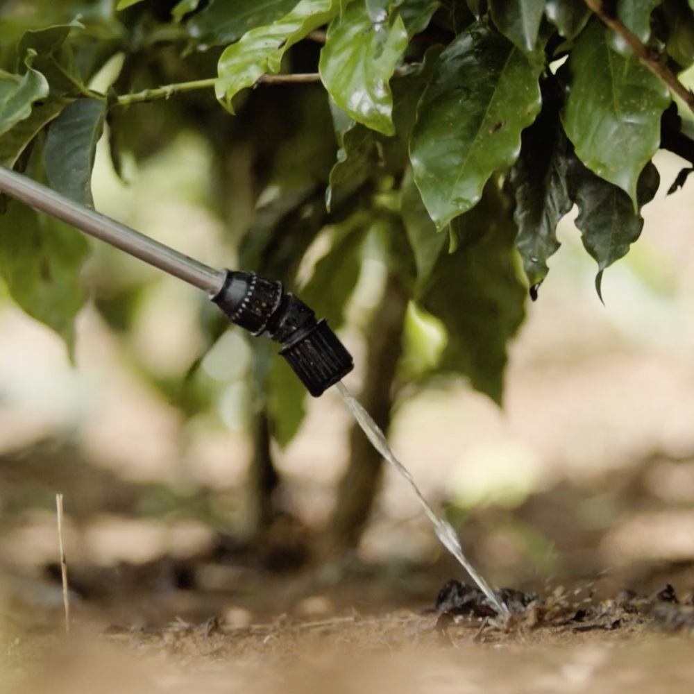 Aplicação de líquidos via drench