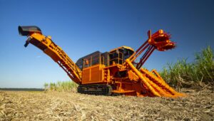 Colhedora de cana-de-açúcar Hover 500 permite ajustes automáticos que mantêm o corte rente ao solo