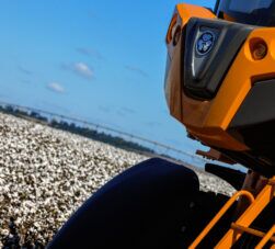 Manejo solo qualidade algodão