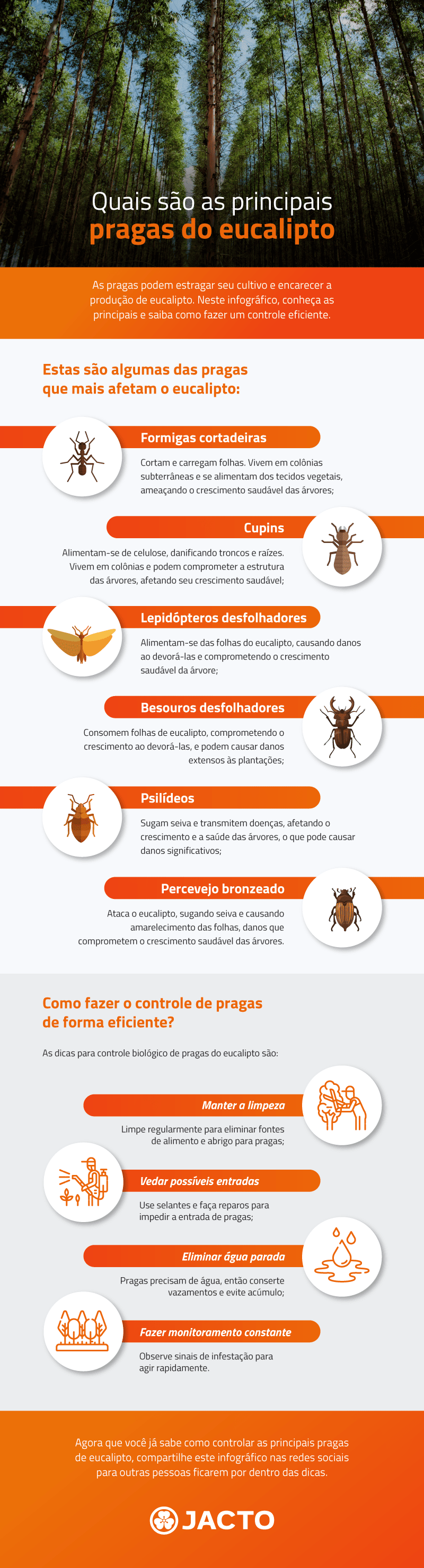 Quais são as principais pragas do eucalipto