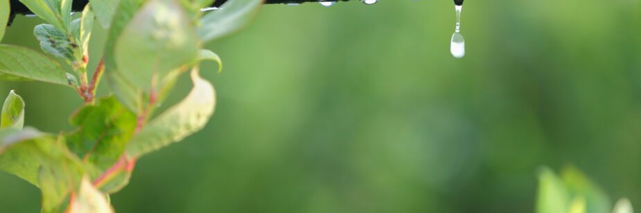 irrigação por gotejamento