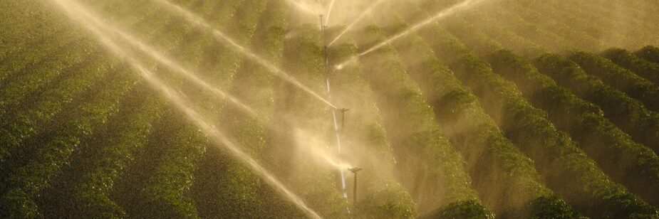 irrigação por aspersão