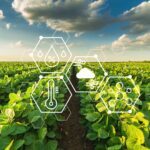 Benefícios da agricultura de precisão