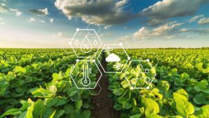 Benefícios da agricultura de precisão