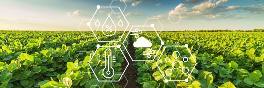 Benefícios da agricultura de precisão