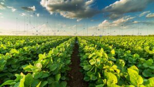 modelos preditivos na agricultura digital