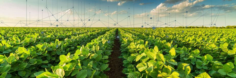 modelos preditivos na agricultura digital
